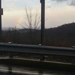 Meet your Posher Donald